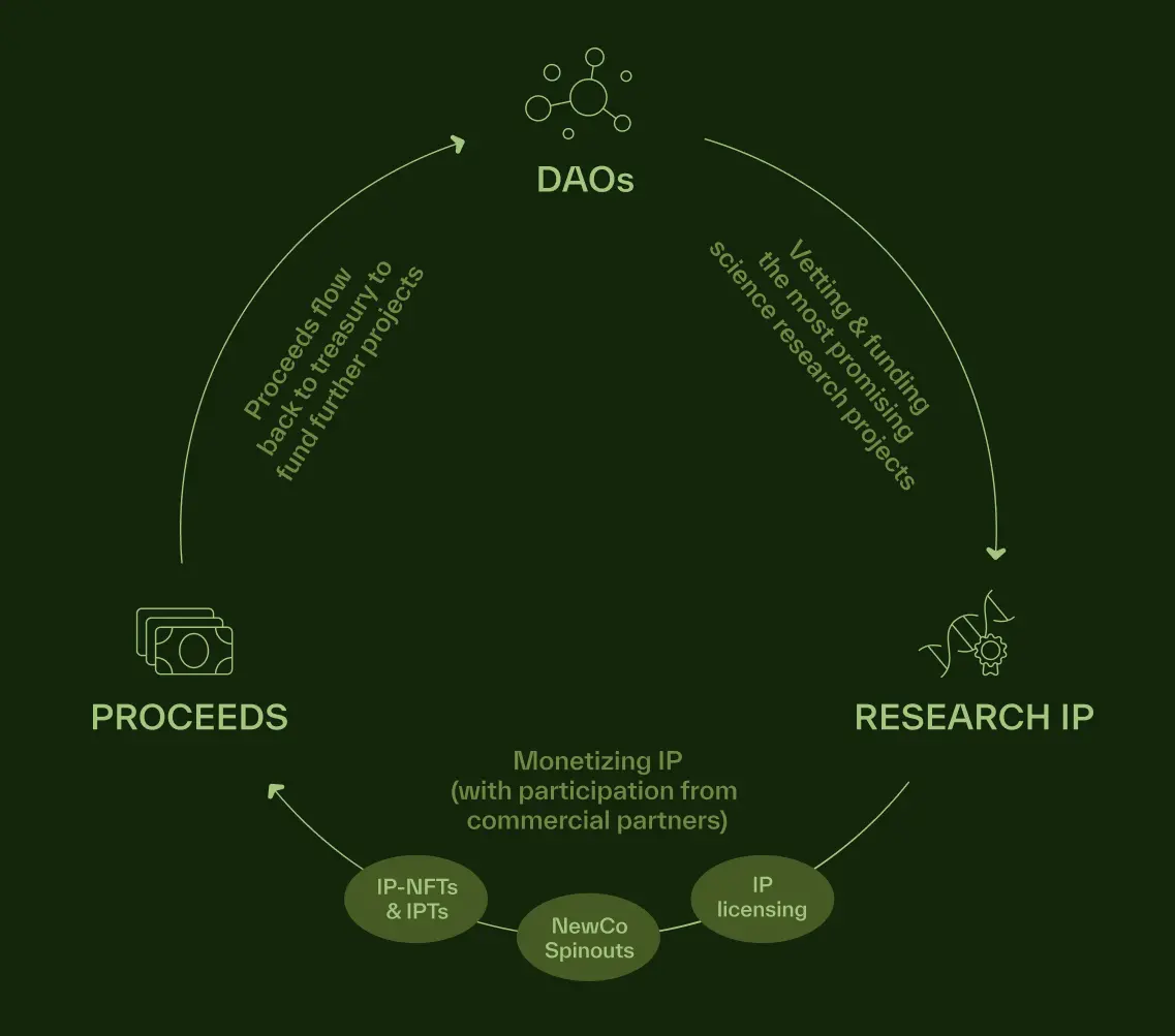 币安第一笔DeSci投资，BIO Protocol凭什么？