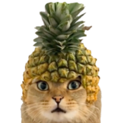 Pineapple Cat